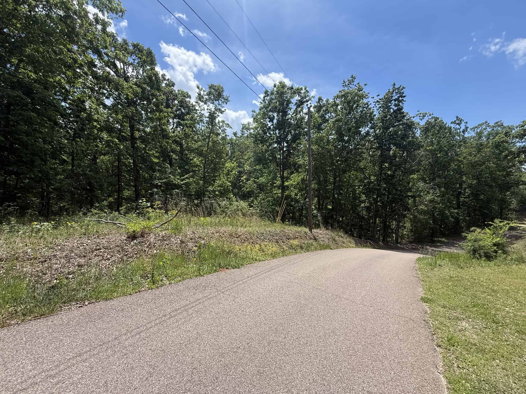 WOODED LAND, ROLLING HILLS NEAR PICKWICK LAKE