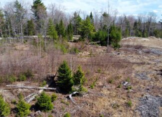 6-Lot Surveyed Subdivision Near Morgan’s Beach – Enfield, Maine
