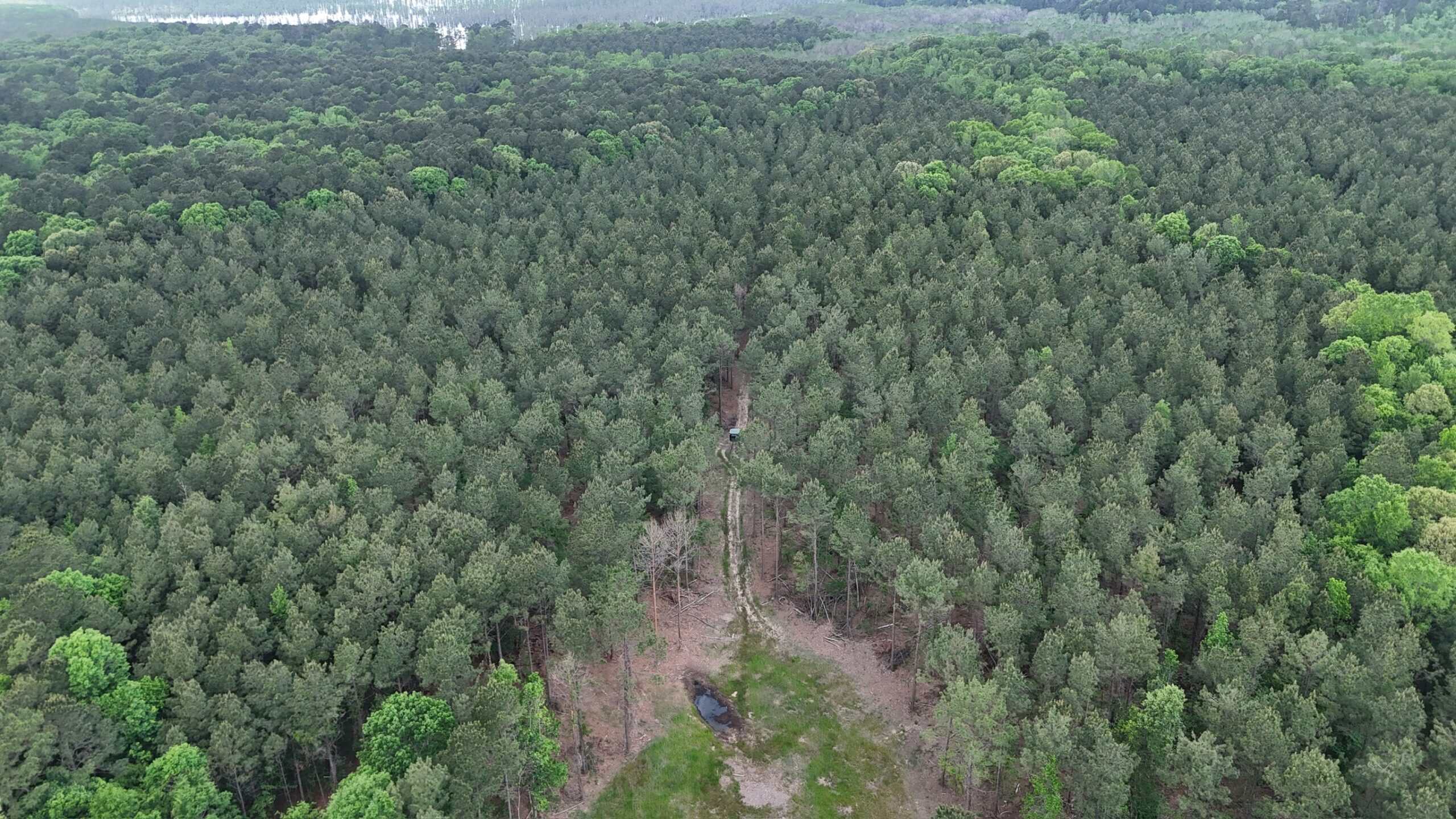Saline Lake Hunting Property and Lodge Winn Parish LA