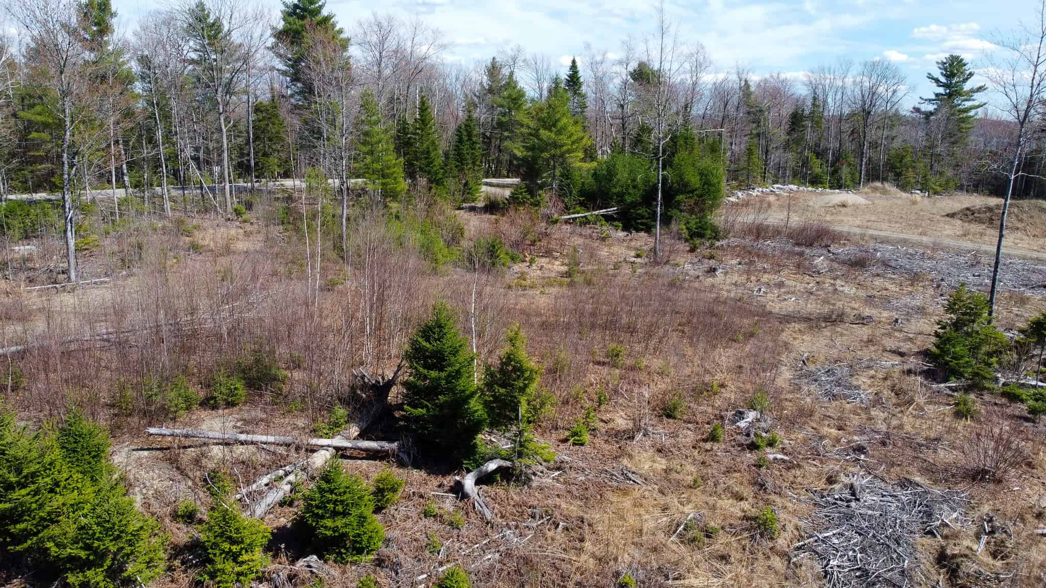 6-Lot Surveyed Subdivision Near Morgan’s Beach – Enfield, Maine