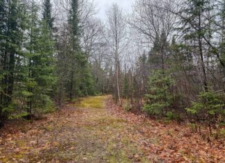 19 Acre Recreational Property – Detroit, Maine