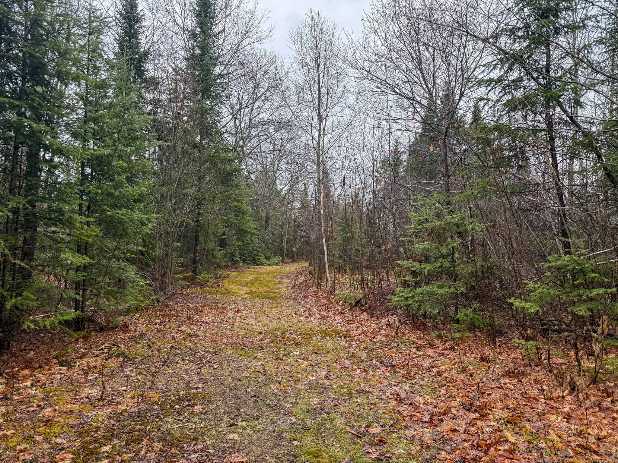 19 Acre Recreational Property – Detroit, Maine