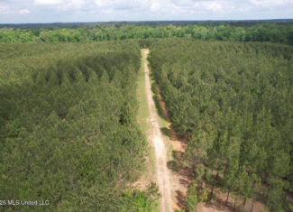 56 Acres in St. Helena Parish with Black Creek