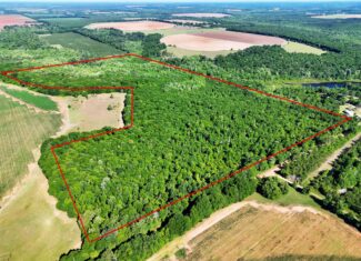 Exceptional 110 ac Hunting & Recreational Property in Shellman, GA