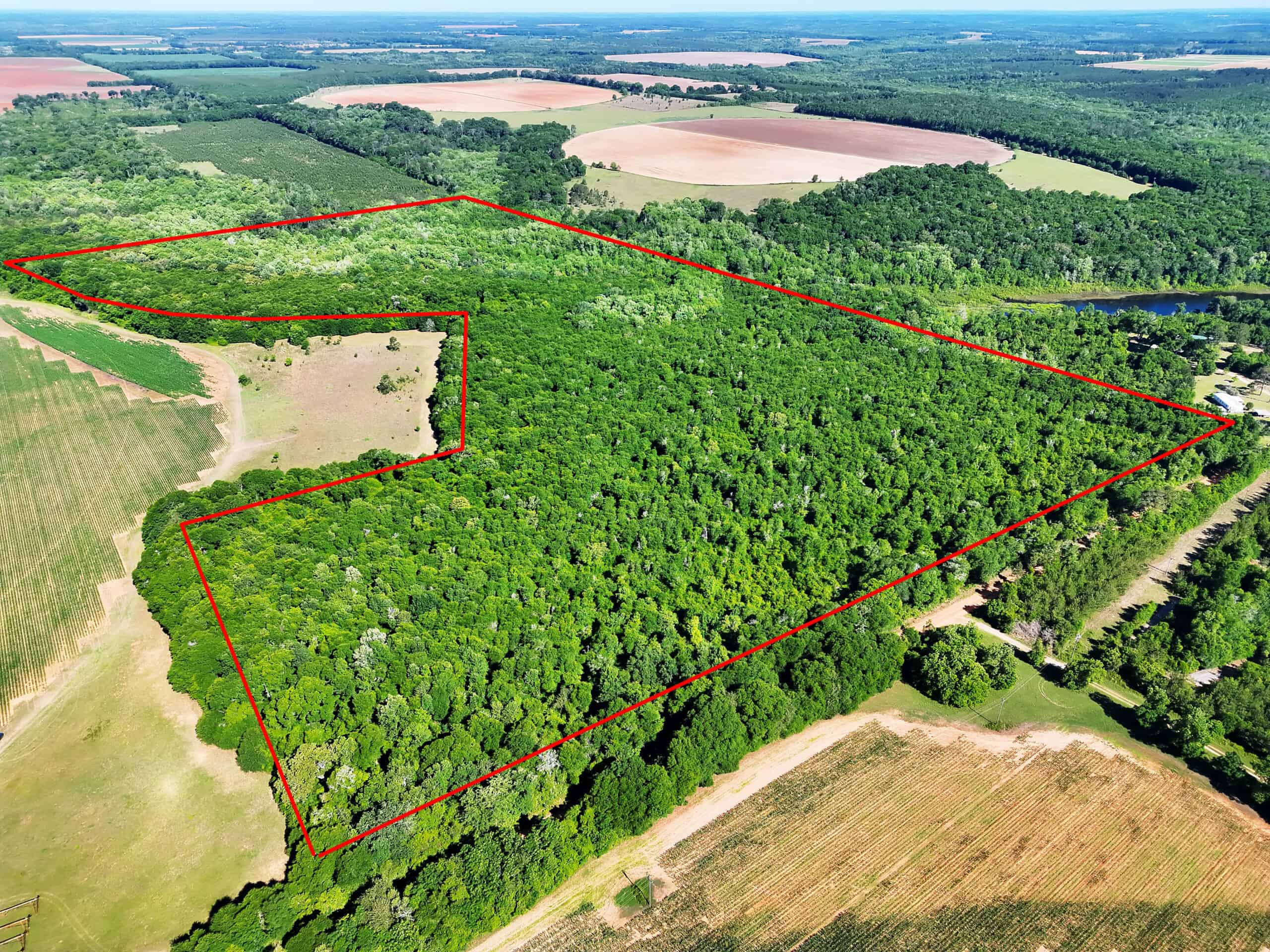 Exceptional 110 ac Hunting & Recreational Property in Shellman, GA