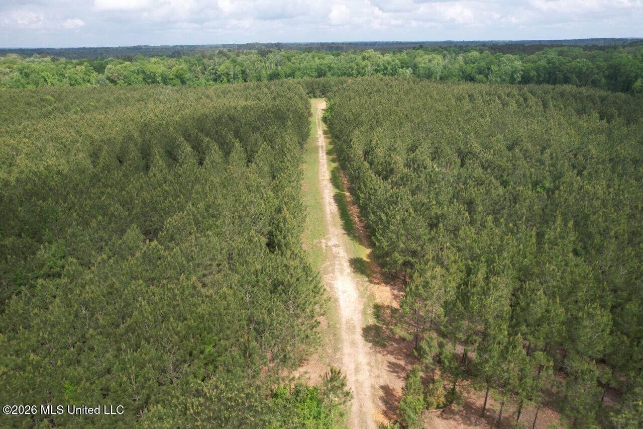 56 Acres in St. Helena Parish with Black Creek