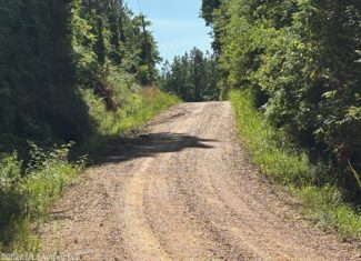 200 acres Franklin County MS Hunting Land Timber Investment
