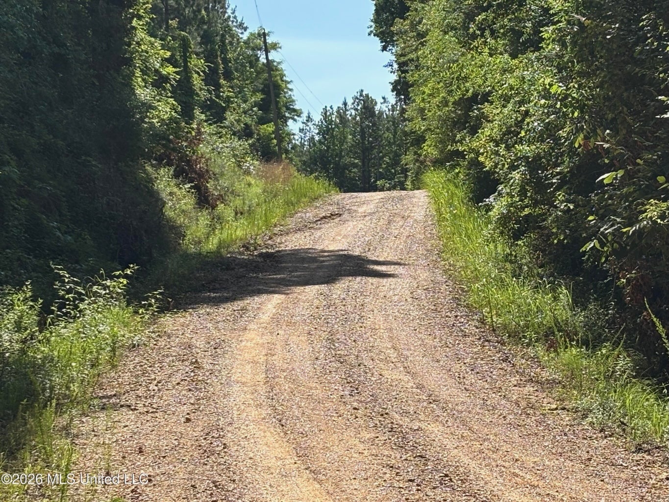200 acres Franklin County MS Hunting Land Timber Investment