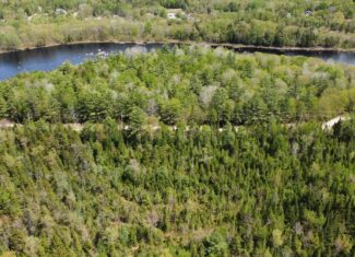 Maine River Property – 40.18 Acres – Woodville