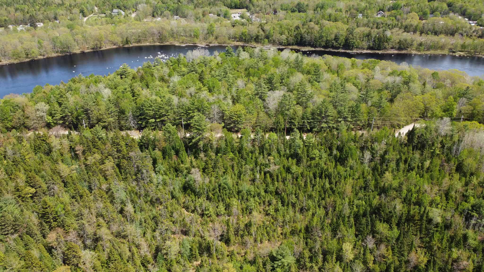 Maine River Property – 40.18 Acres – Woodville