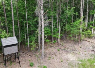 LA Recreation & Timber Property Joining Saline Lake