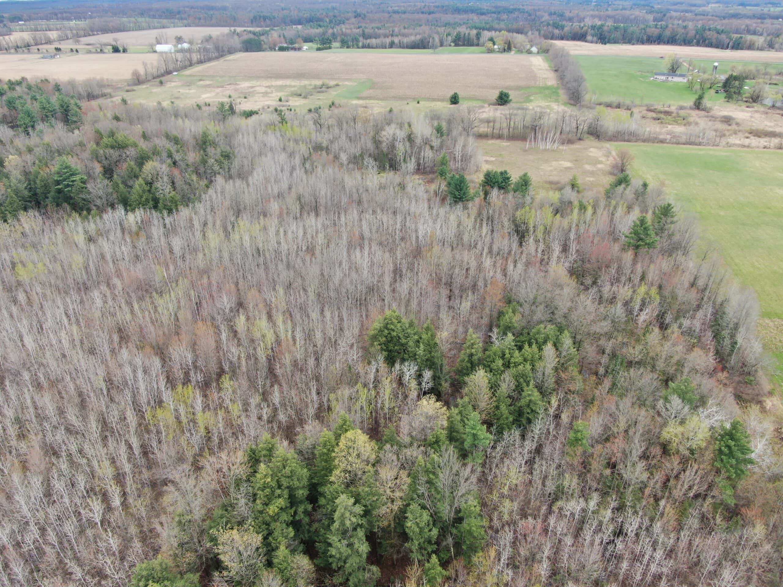 Portage County 40 Acre Hunting and Rec Property for Sale