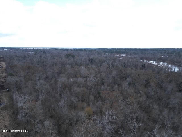 470 Acres on Calcasieu River in Allen Parish, LA