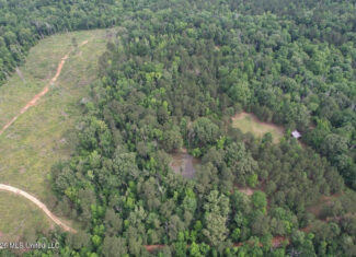 15 Acres with Pond & Homesite in Liberty, MS
