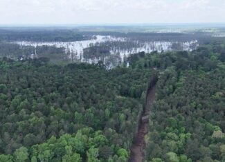 Hunting land with a Camp on Saline Lake Winn Parish LA