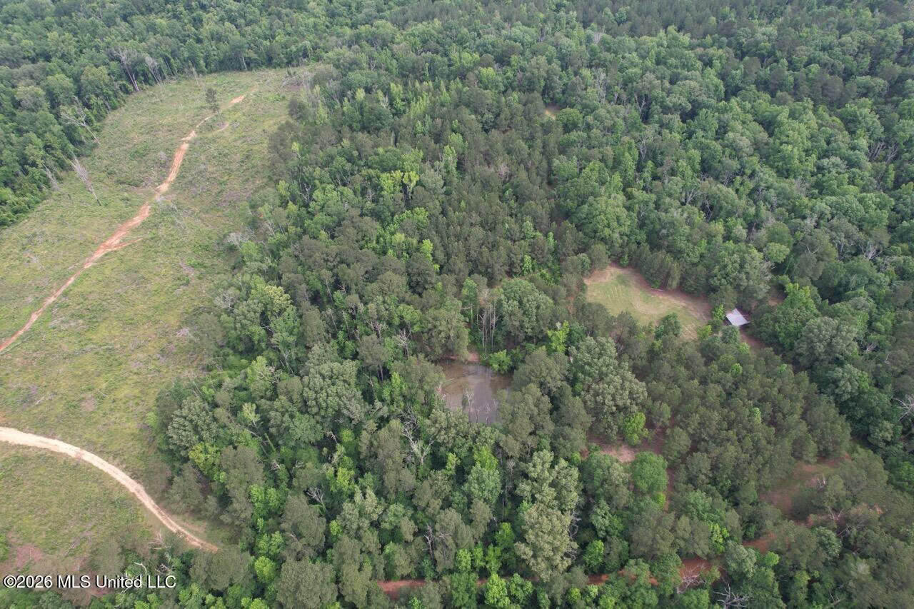 15 Acres with Pond & Homesite in Liberty, MS