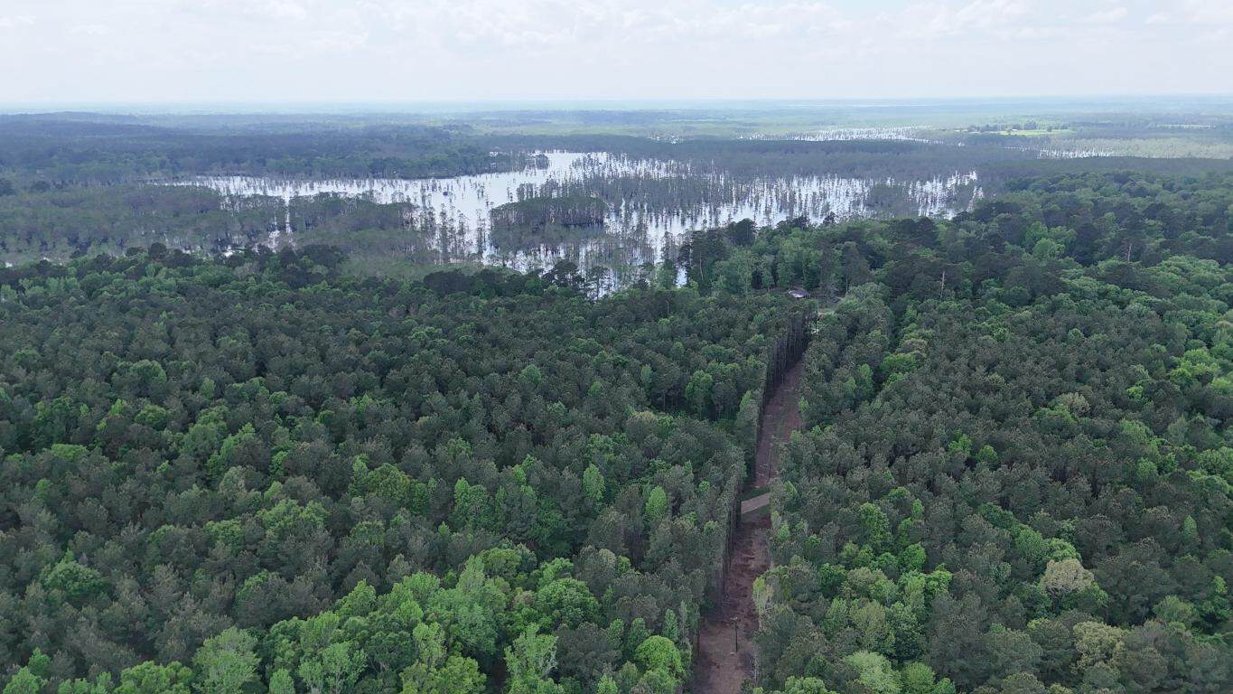 Hunting land with a Camp on Saline Lake Winn Parish LA