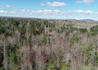 Large Land Parcel with Potential – Ellsworth, Maine