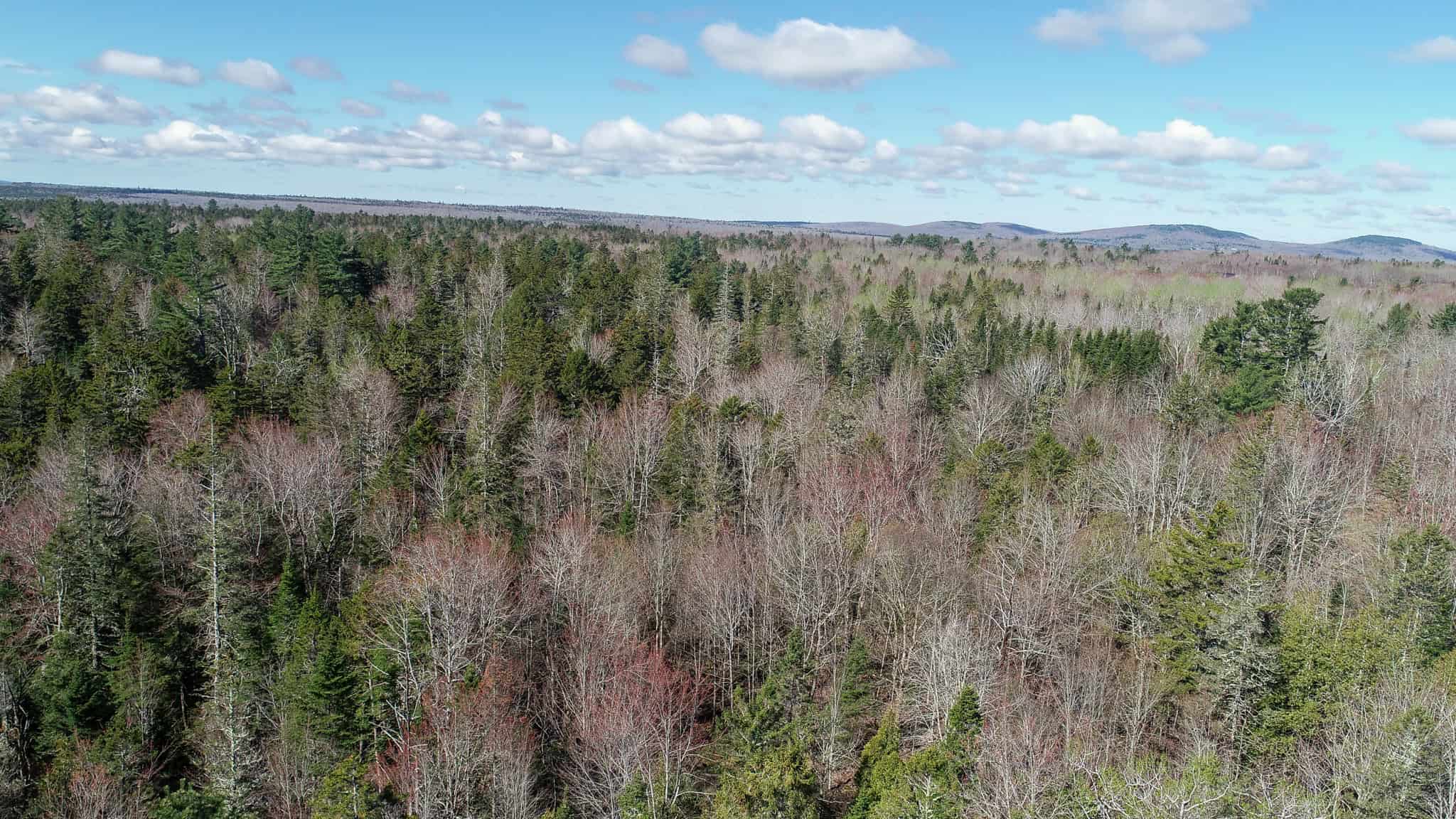 Large Land Parcel with Potential – Ellsworth, Maine