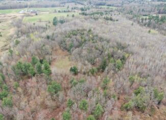 120 acres located in the Town of Dewey, Portage County, WI