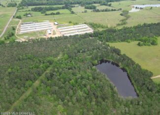 160 Acre in Bienville Parish Near Arcadia, Louisiana