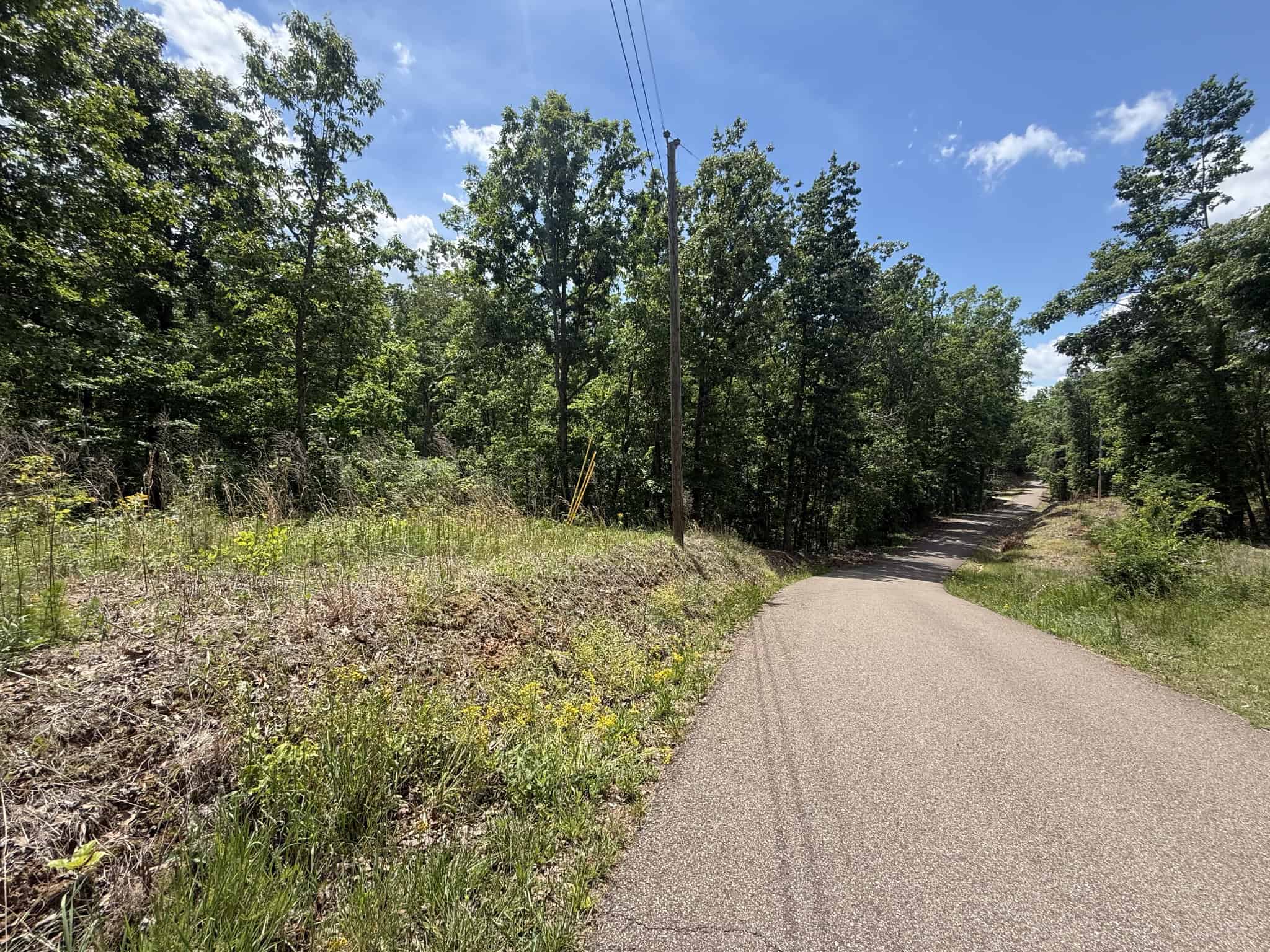 WOODED LAND, ROLLING HILLS NEAR PICKWICK LAKE