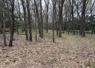 88 Acre Marquette County  WI Hunting Property For Sale