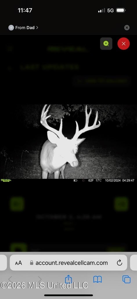 Booger Bottom Plantation 635 Surveyed Acres Attala Co MS