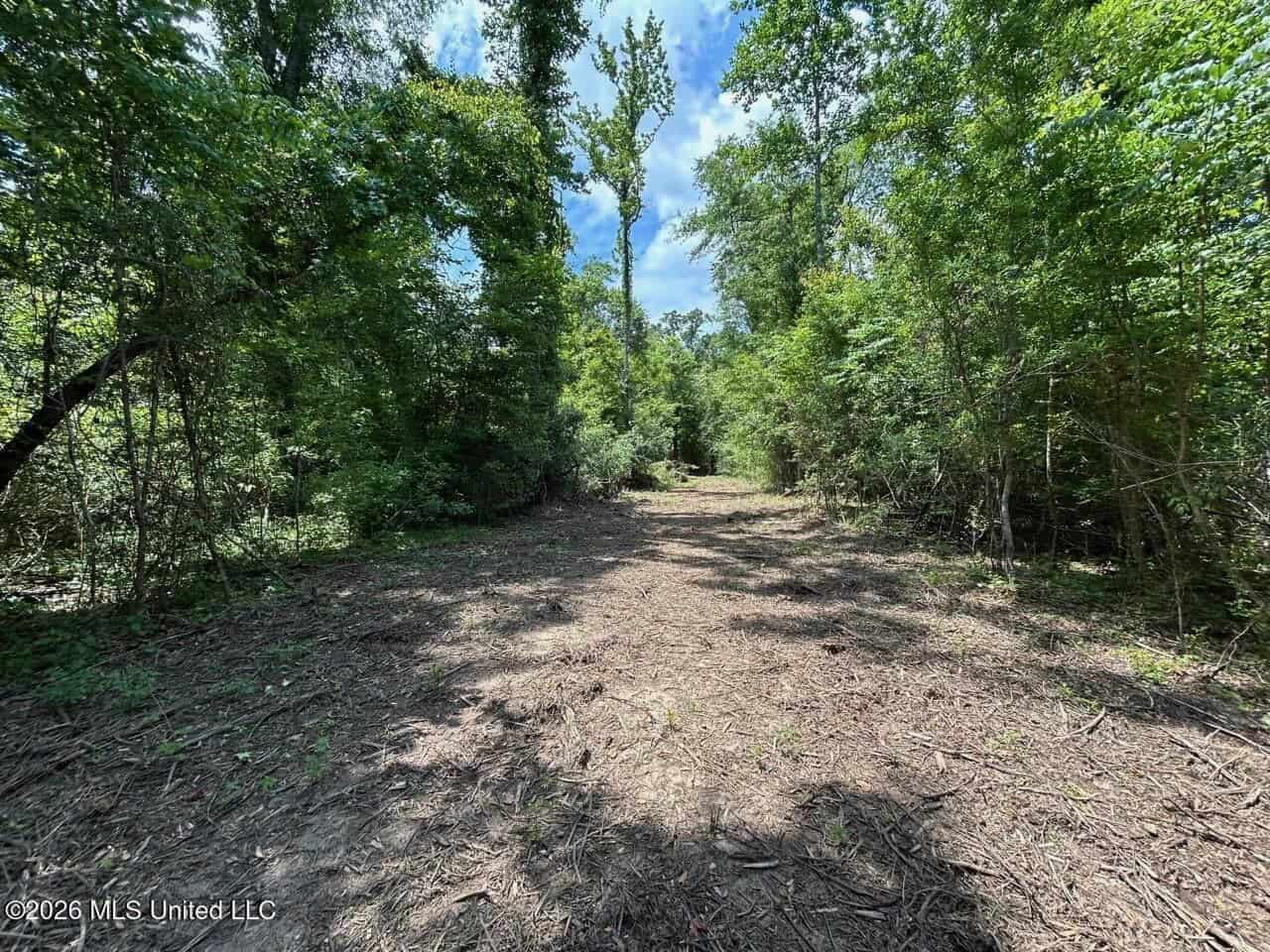 56 Acres in St. Helena Parish with Black Creek