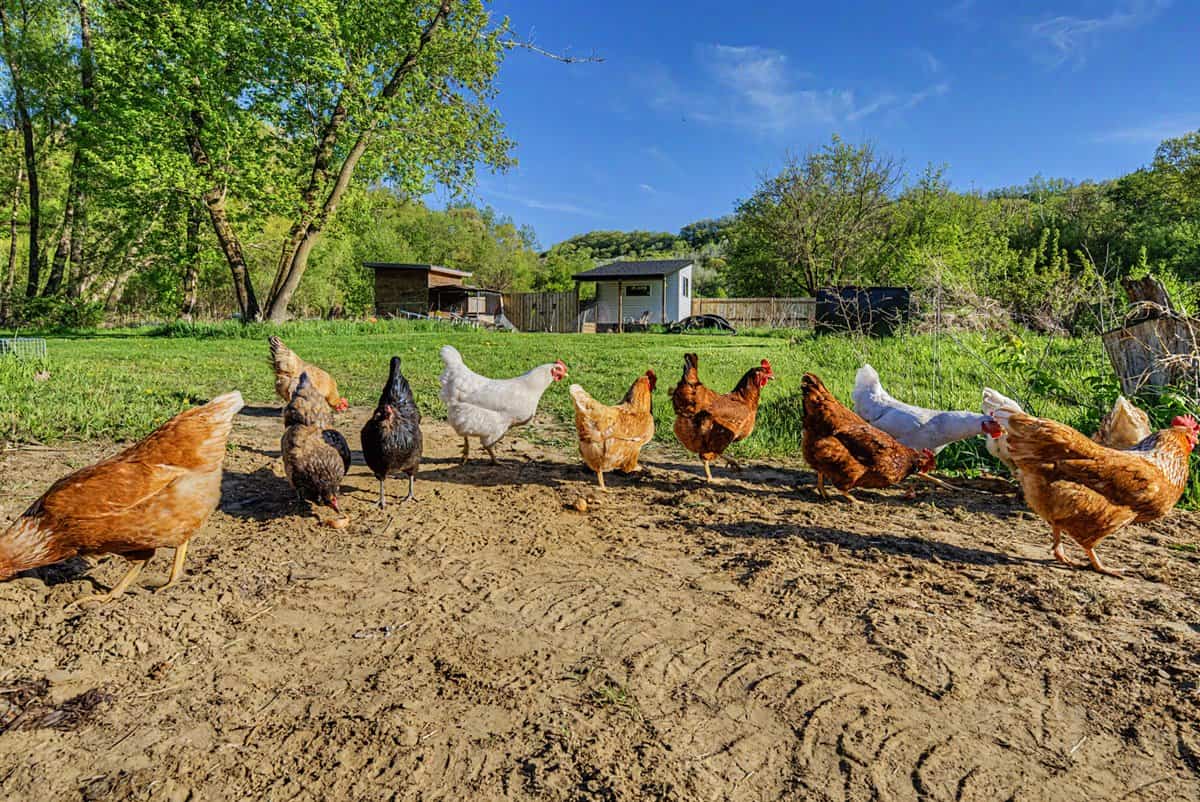 Luxury rural living in the heart of Wisconsin’s scenic Coulee Region