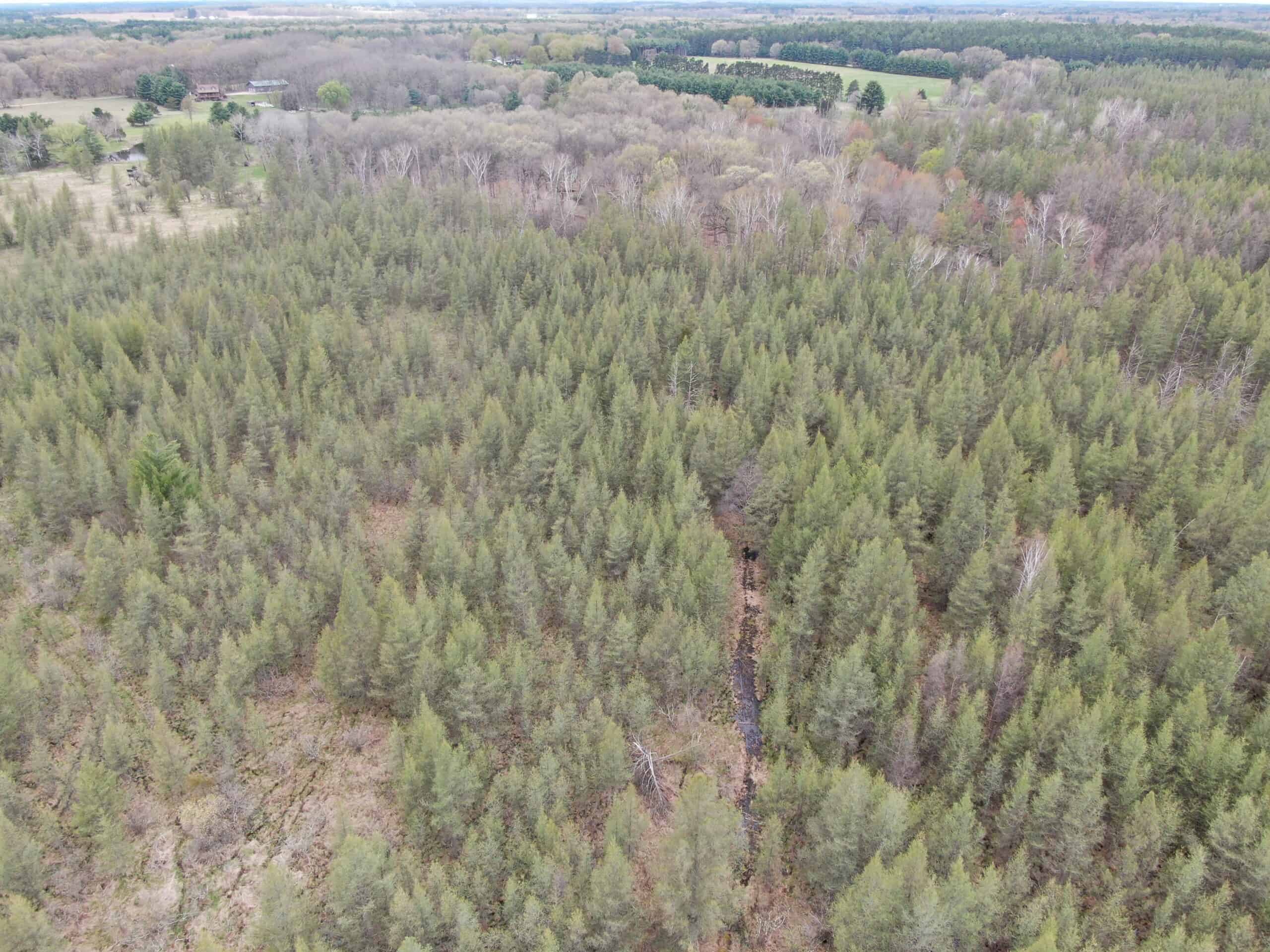88 Acre Marquette County  WI Hunting Property For Sale