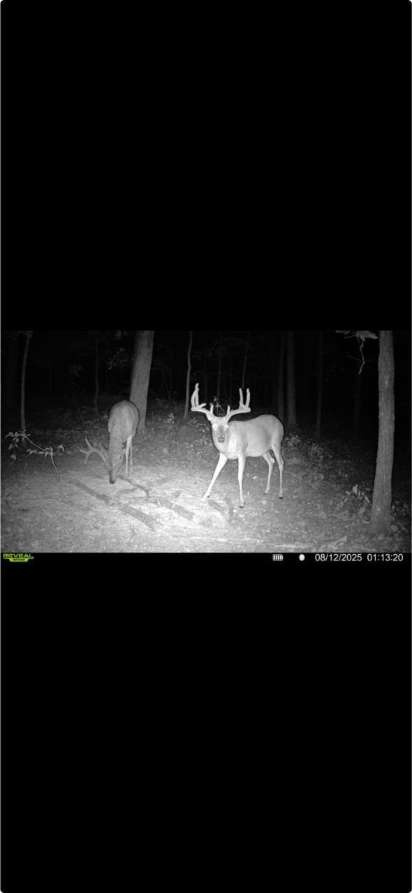 Hunting land with a Camp on Saline Lake Winn Parish LA