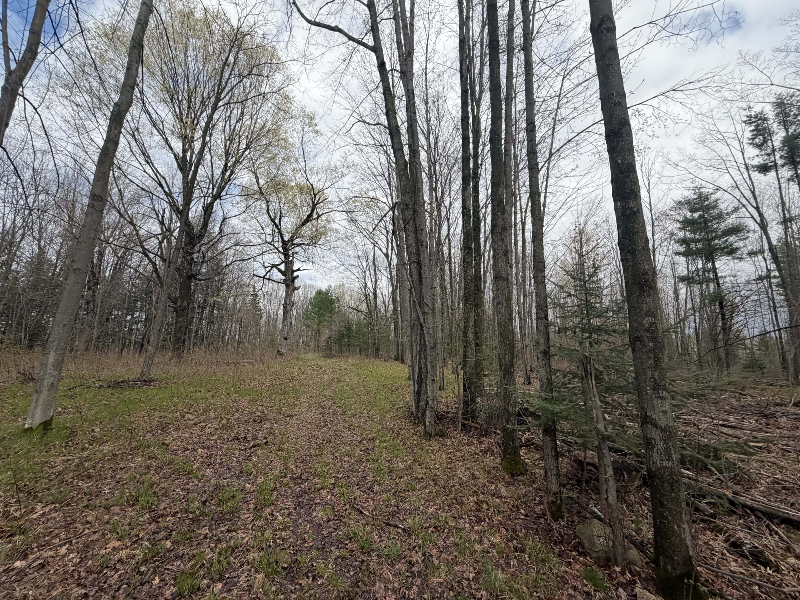 120 acres located in the Town of Dewey, Portage County, WI