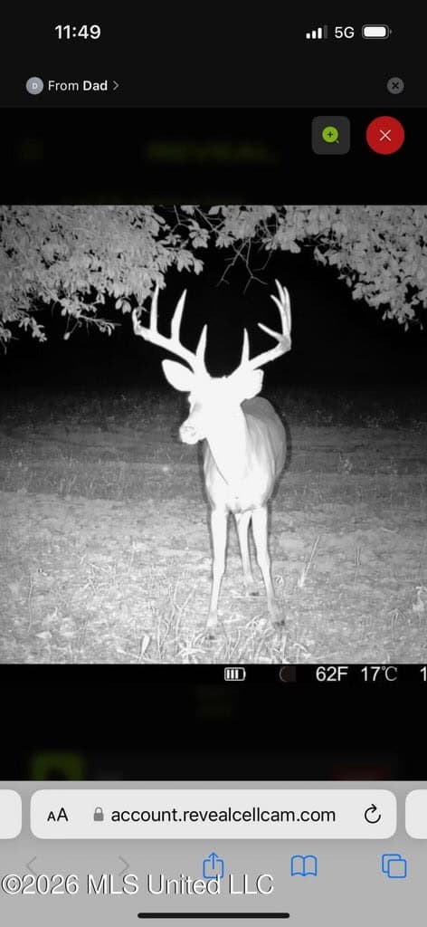 Booger Bottom Plantation 635 Surveyed Acres Attala Co MS