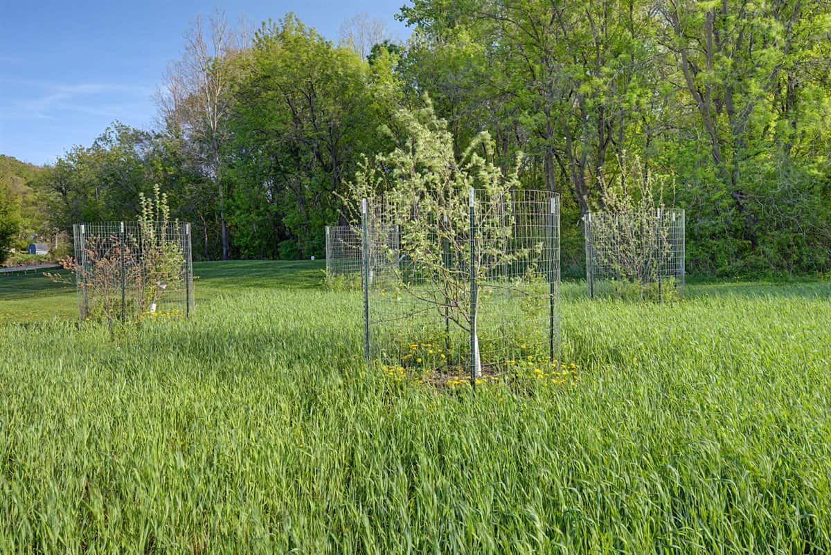 Luxury rural living in the heart of Wisconsin’s scenic Coulee Region