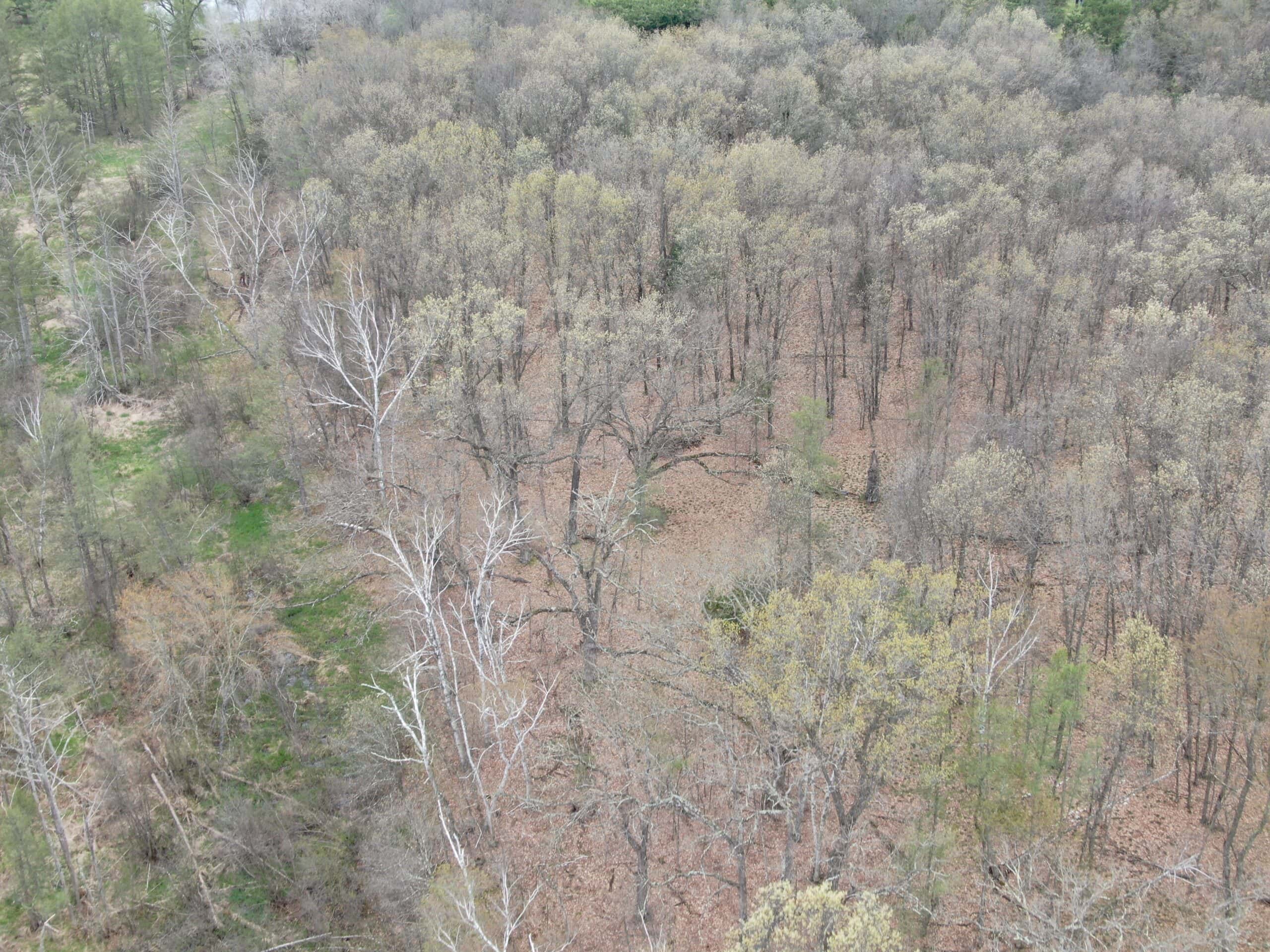 88 Acre Marquette County  WI Hunting Property For Sale
