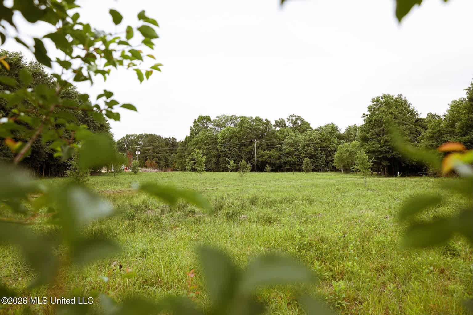 Land for Sale in Amite County, MS