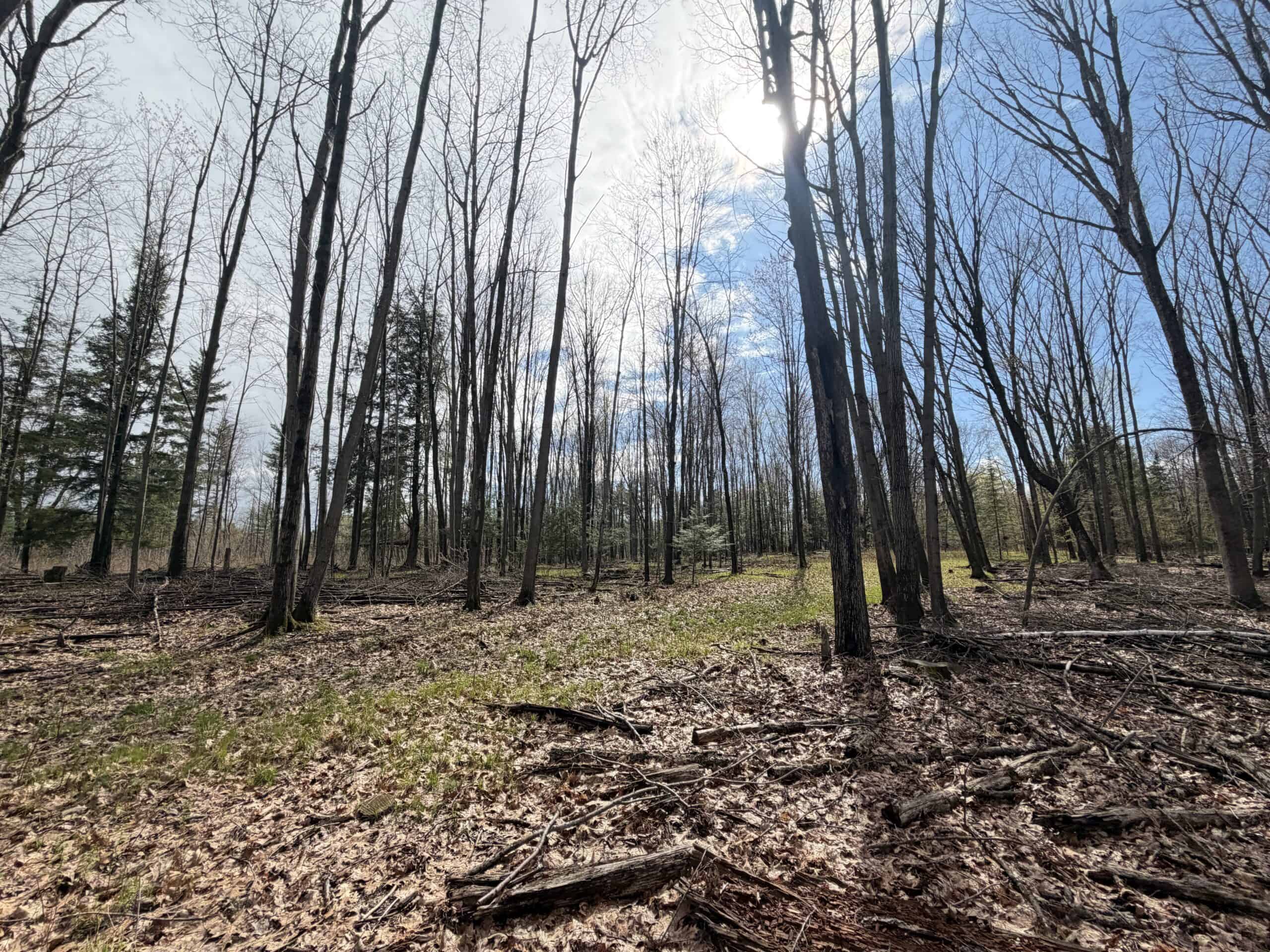 120 acres located in the Town of Dewey, Portage County, WI