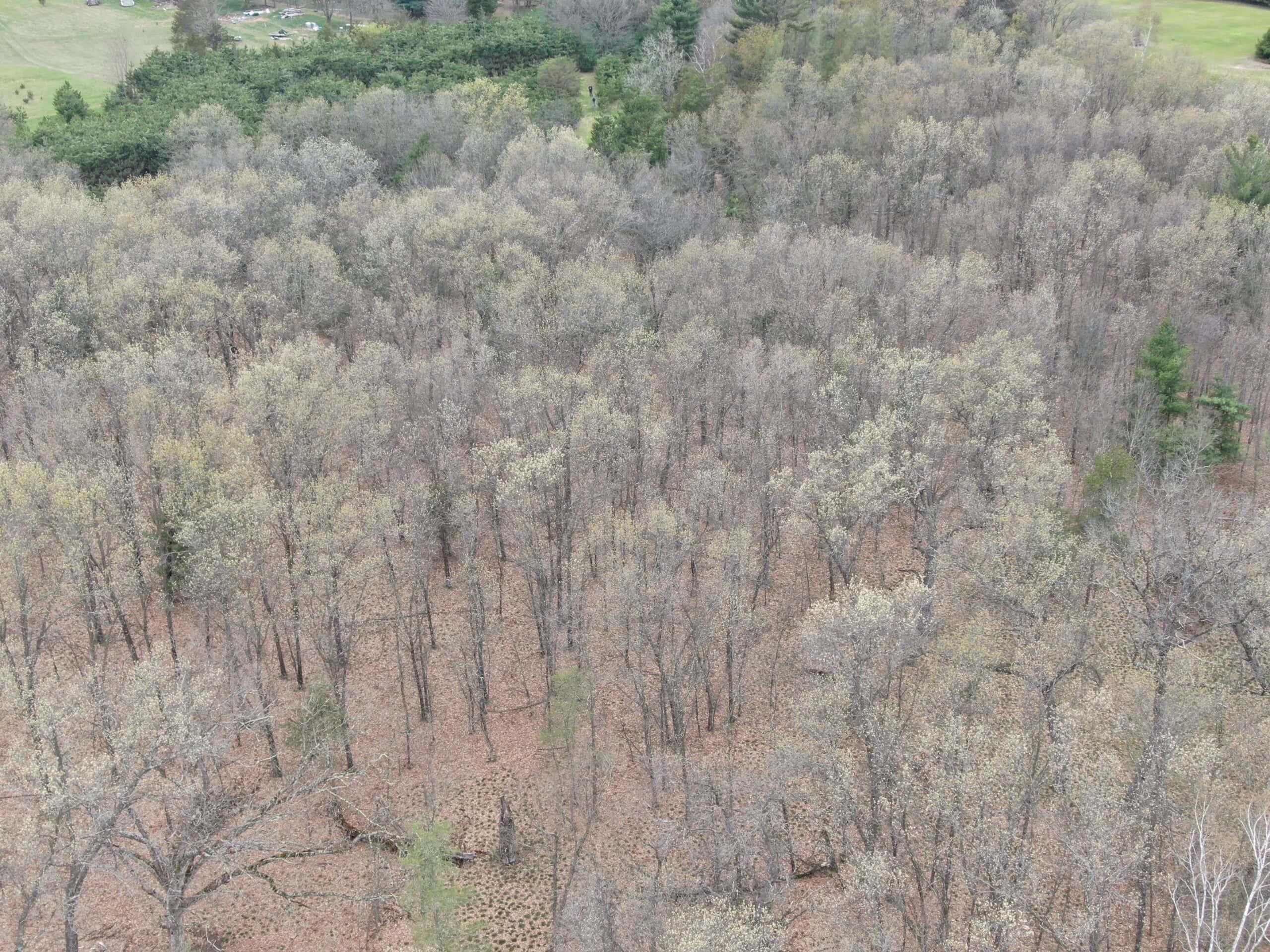 88 Acre Marquette County  WI Hunting Property For Sale