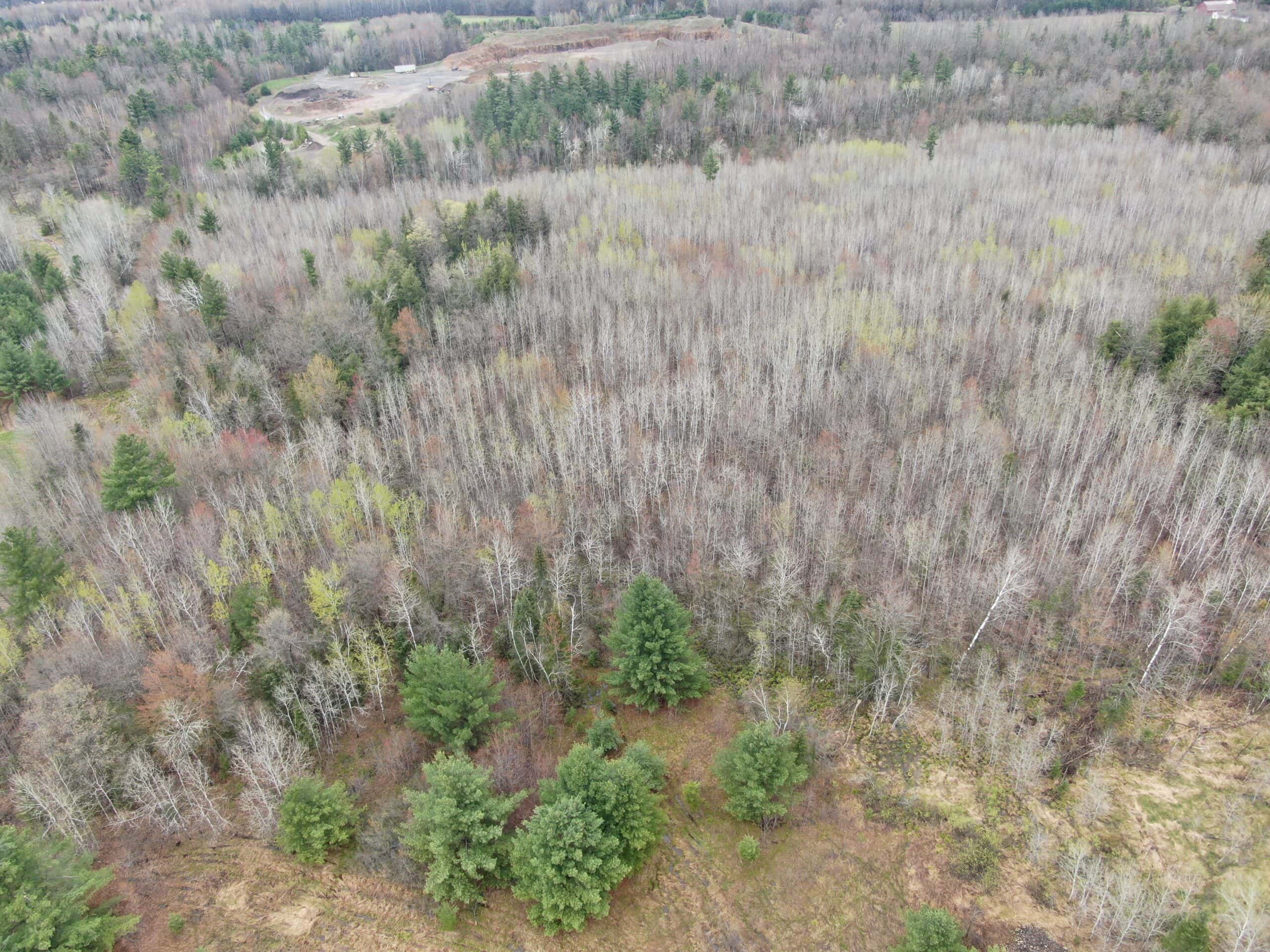 Portage County 40 Acre Hunting and Rec Property for Sale