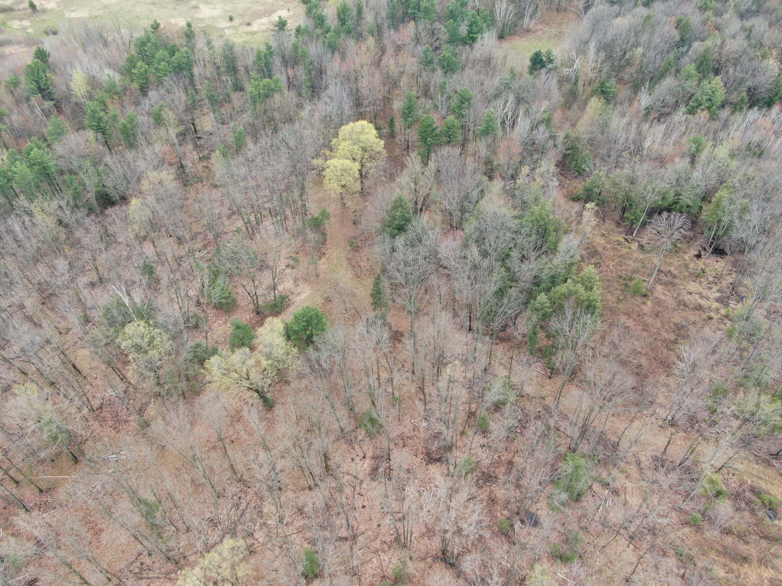 120 acres located in the Town of Dewey, Portage County, WI