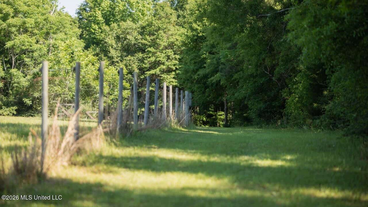 Luxury Estate on 98 Acres in Camden, AL
