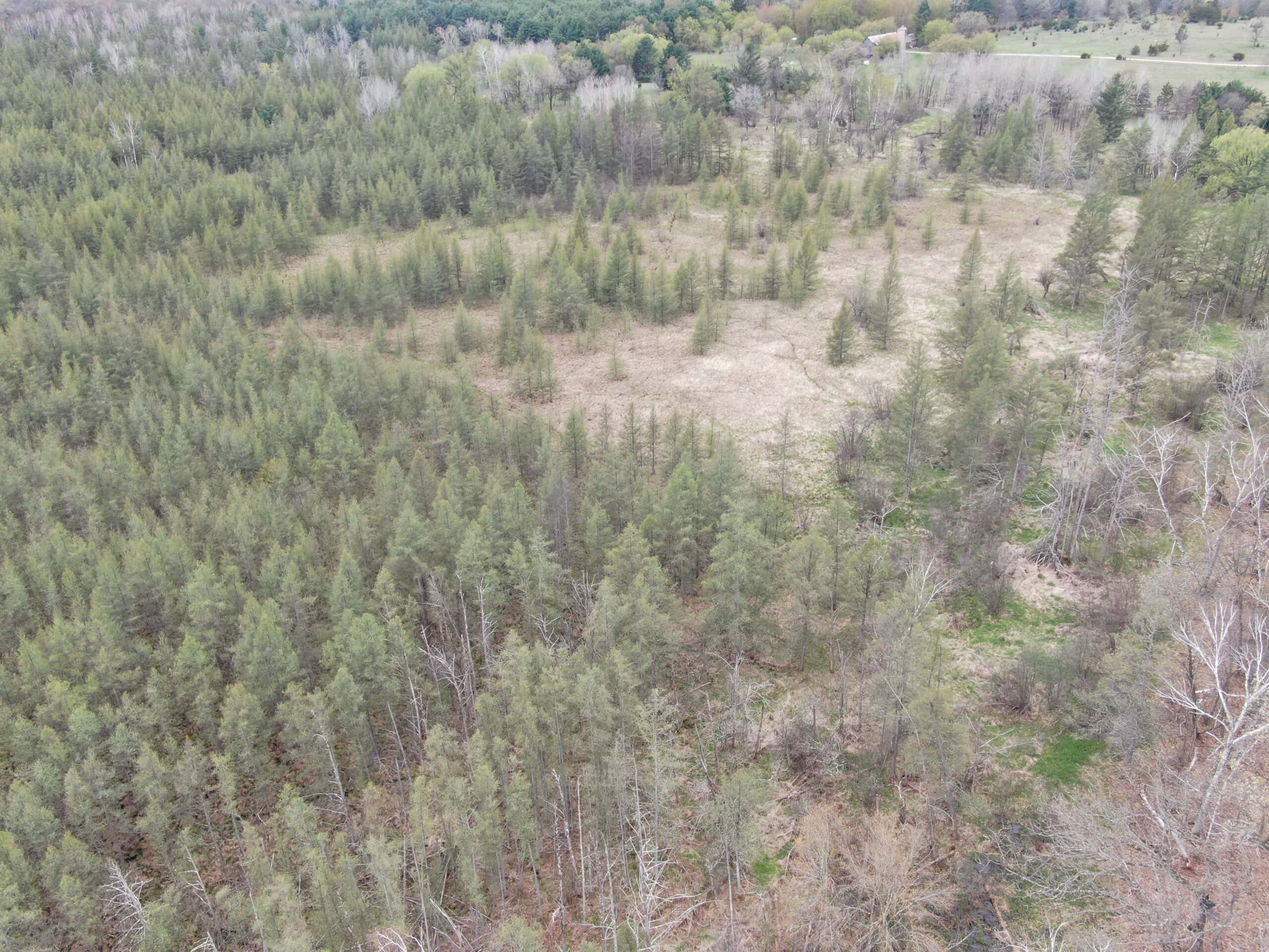88 Acre Marquette County  WI Hunting Property For Sale