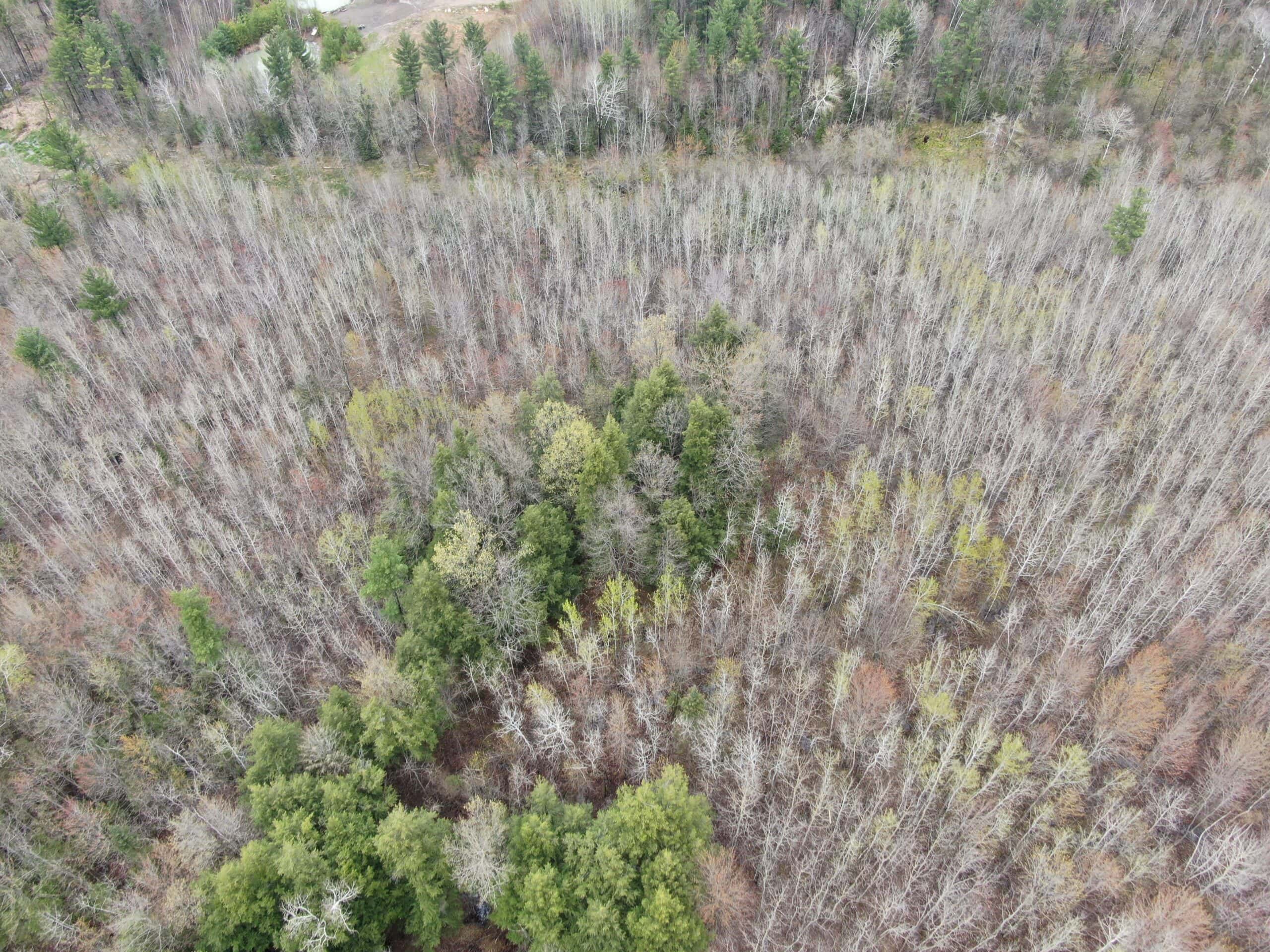 Portage County 40 Acre Hunting and Rec Property for Sale