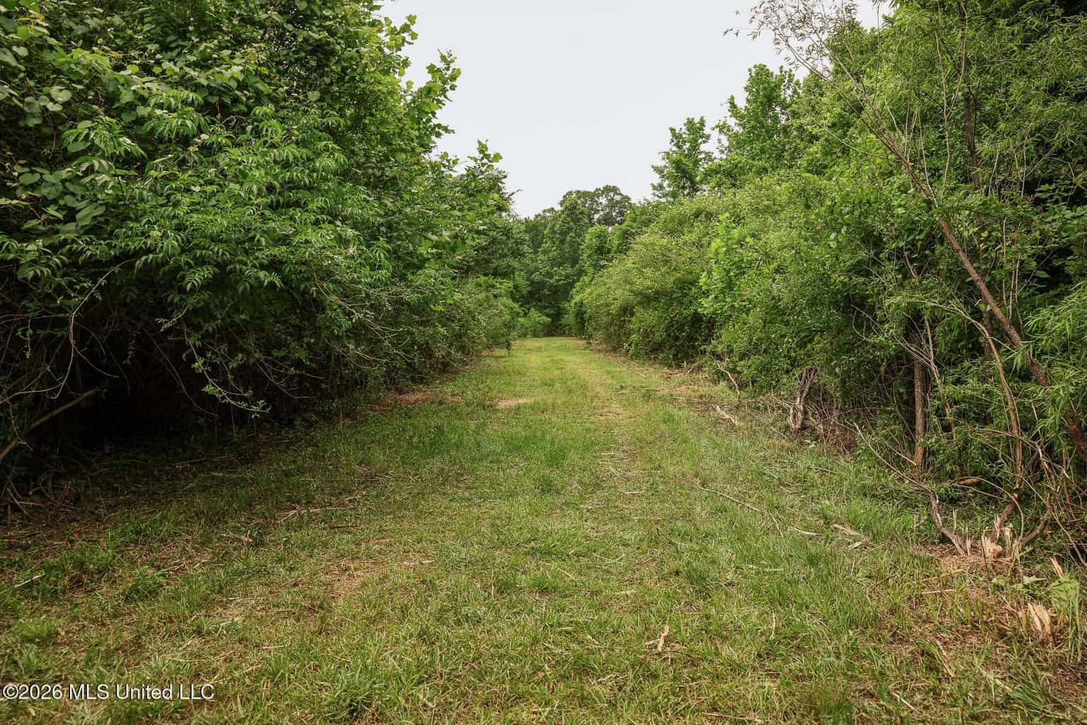 Land for Sale in Amite County, MS
