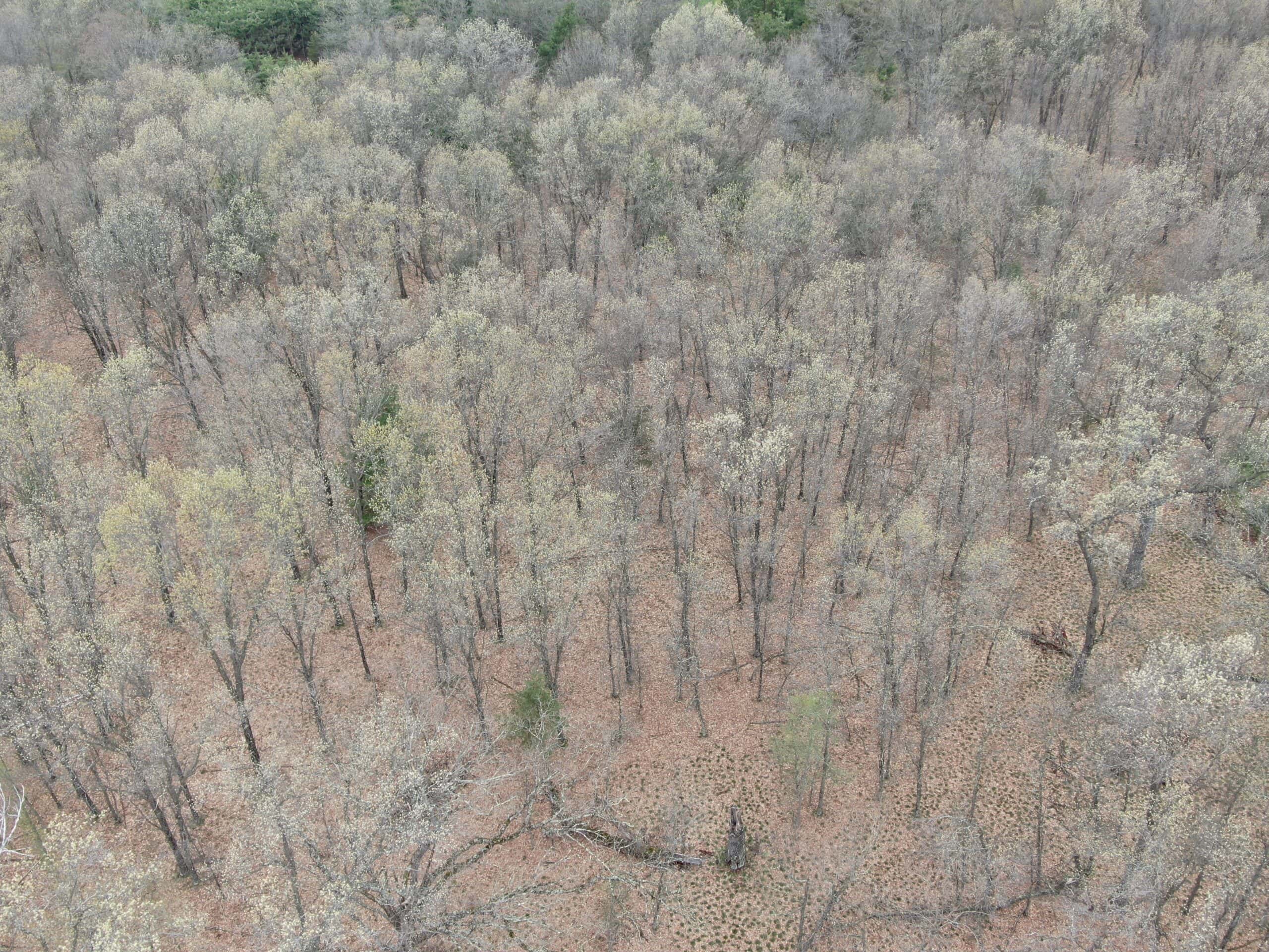 88 Acre Marquette County  WI Hunting Property For Sale