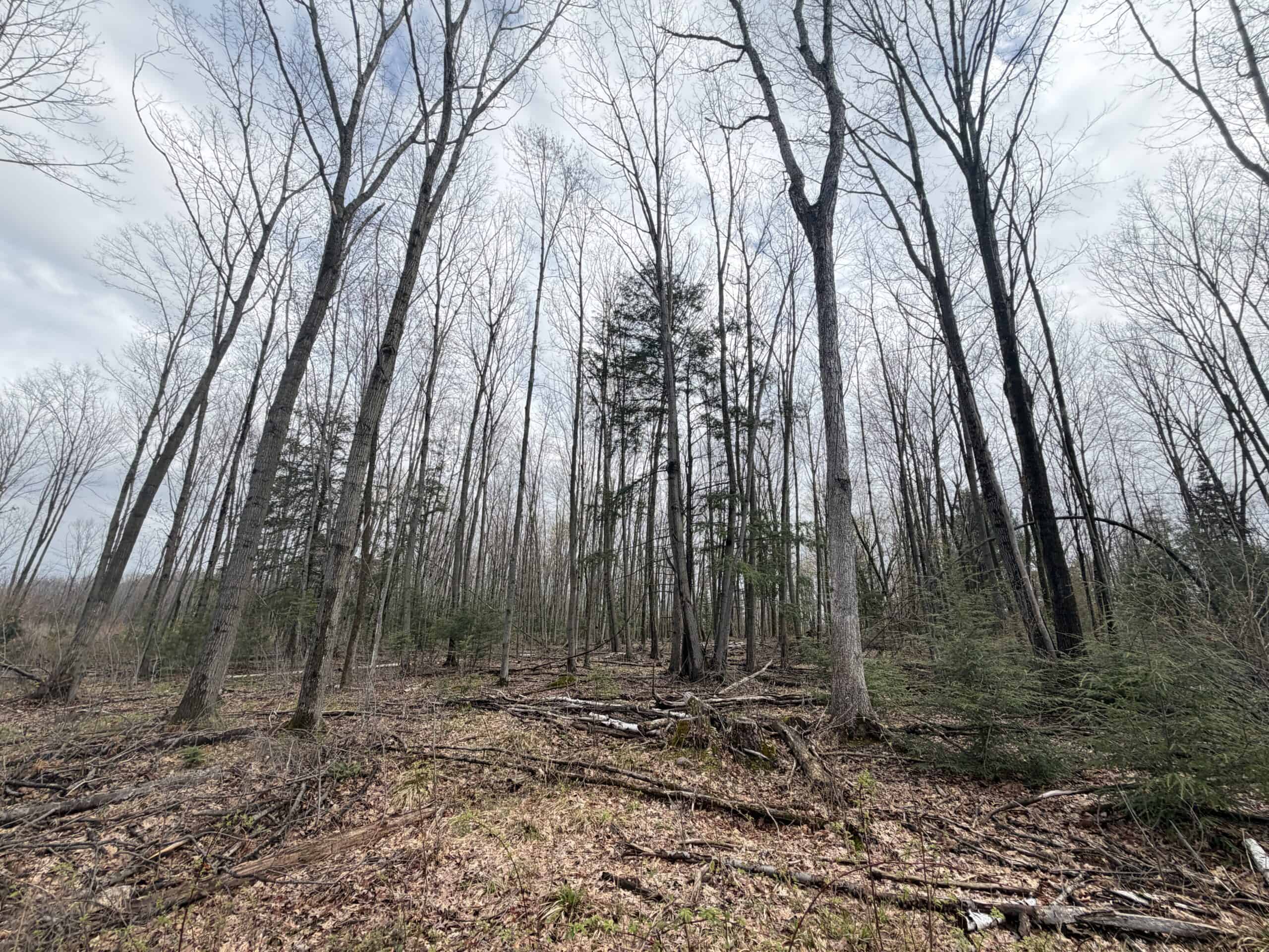 120 acres located in the Town of Dewey, Portage County, WI