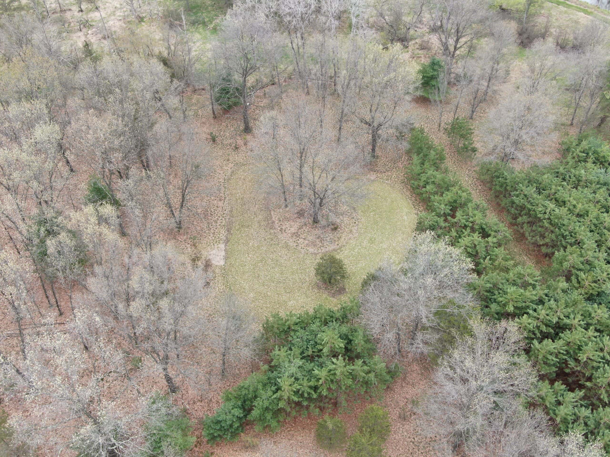 88 Acre Marquette County  WI Hunting Property For Sale