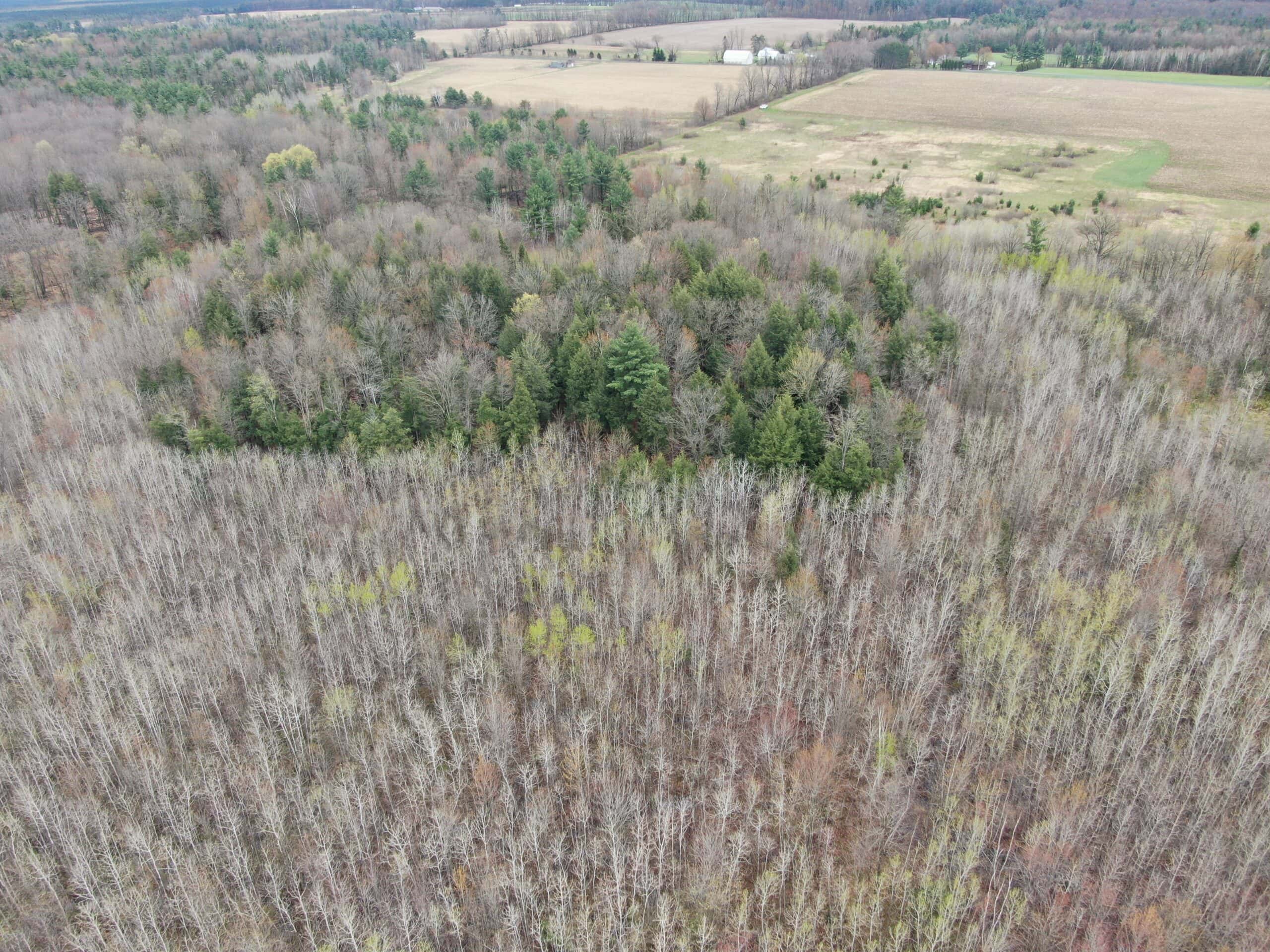 Portage County 40 Acre Hunting and Rec Property for Sale