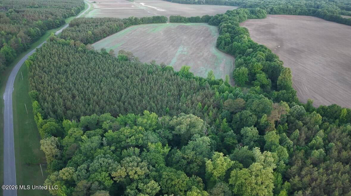 Booger Bottom Plantation 635 Surveyed Acres Attala Co MS